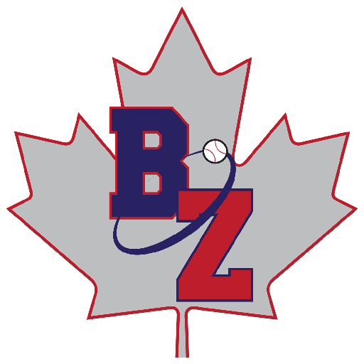 Baseball Training Facility The Baseball Zone Mississauga, ON